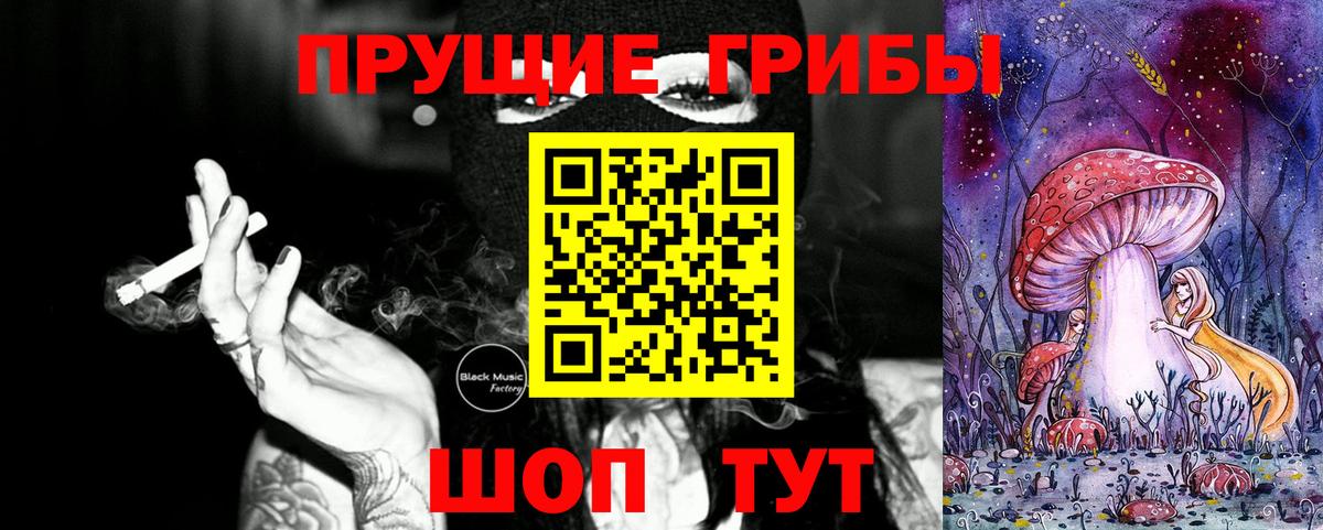 Псилоцибиновые грибы прущие грибы Санкт-Петербург
